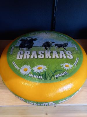 Graskaas 48+